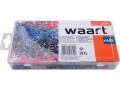 W31A022,2.jpg